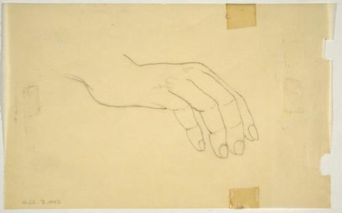 Hand Study
