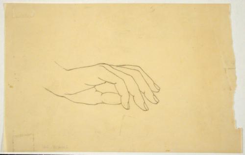Hand Study