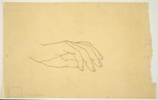 Hand Study