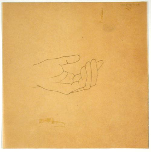 Hand Study
