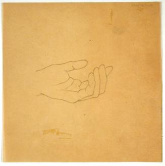 Hand Study