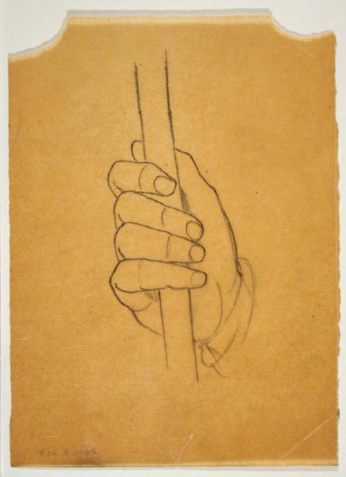 Hand Study