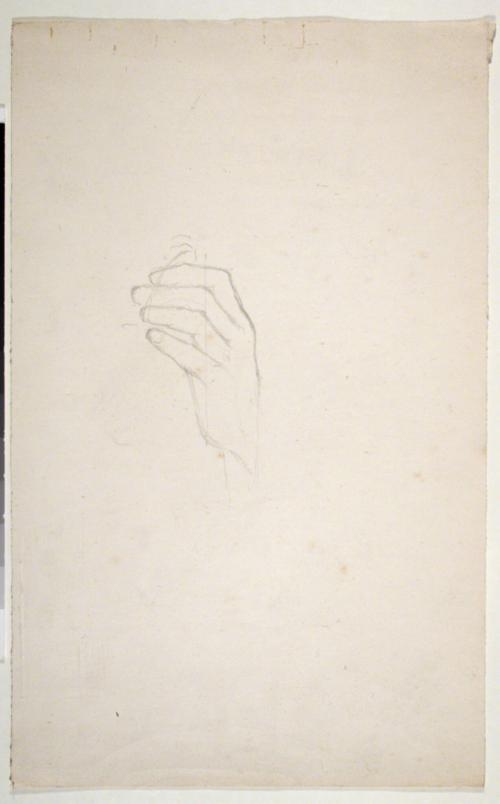 Hand Study