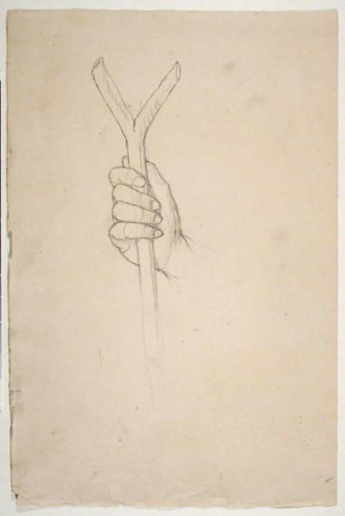 Hand Study