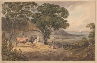 Estuary Landscape