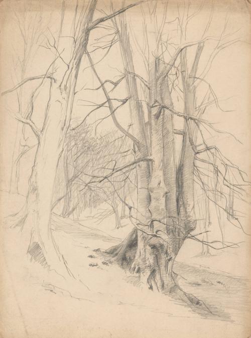 Tree Study