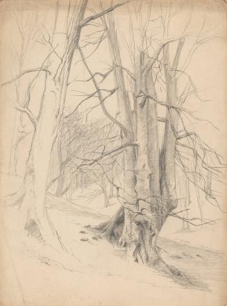 Tree Study