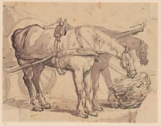 Team of Horses