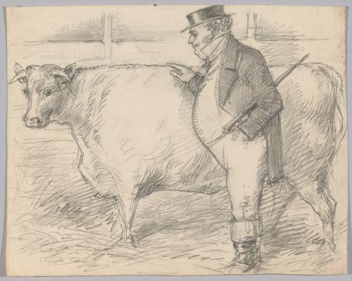Stout Man with a Bull