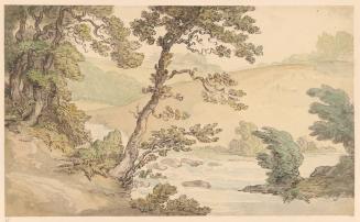 Stream in a Hilly Landscape