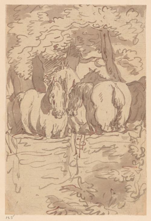 Four Horses in a Paddock