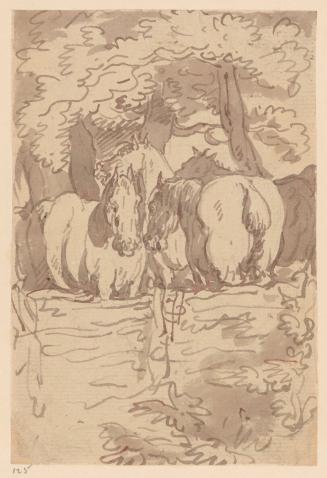 Four Horses in a Paddock
