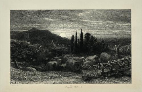 The Rising Moon