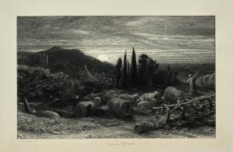 The Rising Moon