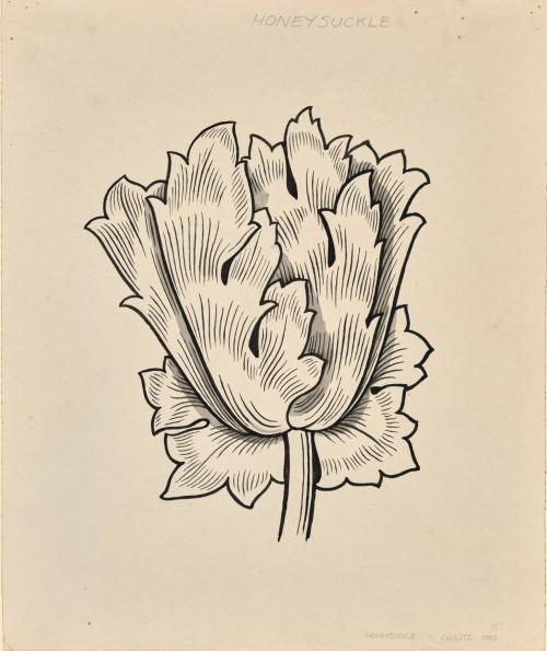 Honeysuckle