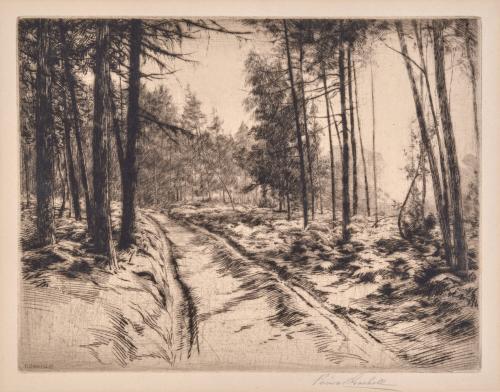 The Woodman’s Road