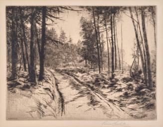 The Woodman’s Road