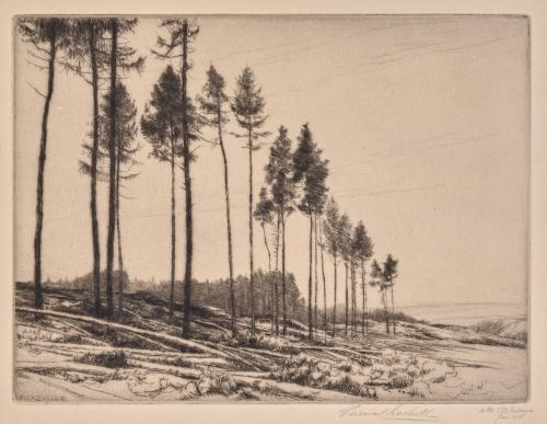 The Larchwood in Wartime