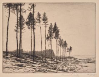 The Larchwood in Wartime