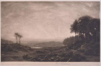 Sunrise in the Clearing