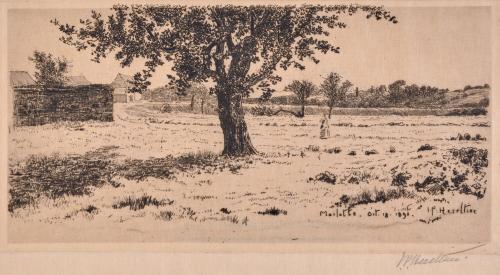 Marlotte