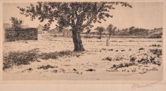 Marlotte