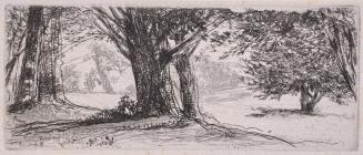 The Holly Field