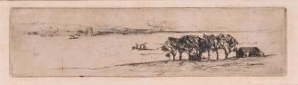 The Ferry