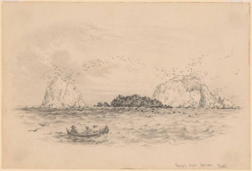 Seal Rocks, San Francisco Bay