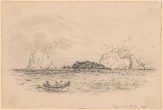 Seal Rocks, San Francisco Bay