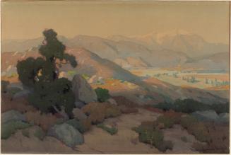 Panoramic Landscape with Mt. Baldy