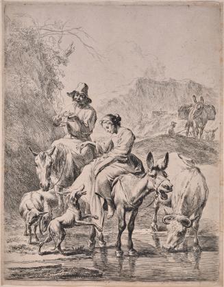 Watering Cattle
