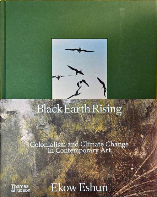 Black Earth Rising