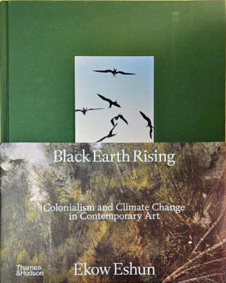 Black Earth Rising