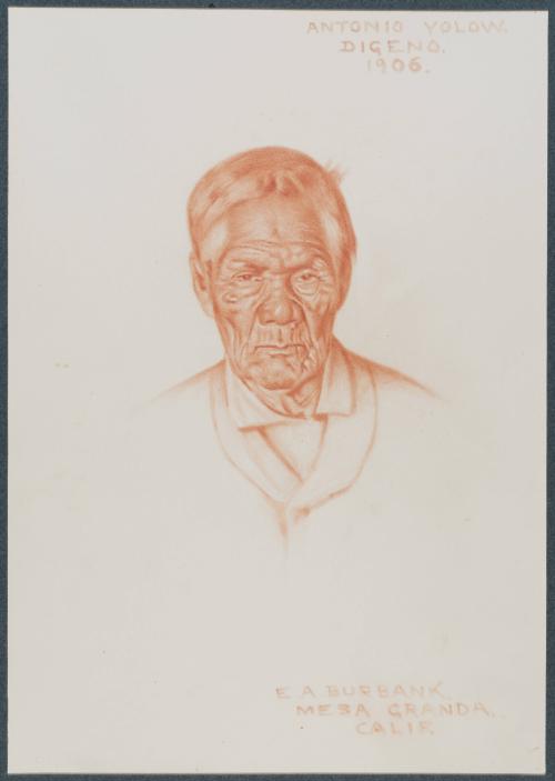 Antonio Yolow