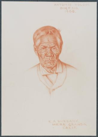 Antonio Yolow