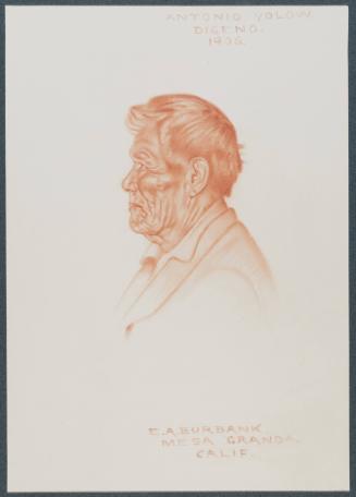 Antonio Yolow