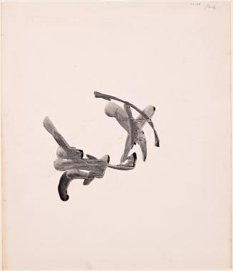 Calligraphic Form