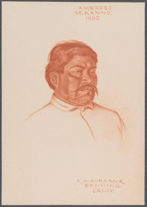 Ambroso