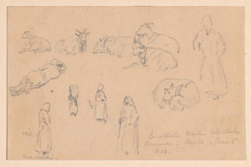 Studies of Figures and Goats