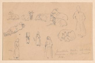 Studies of Figures and Goats