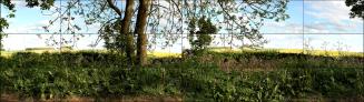 © Estate of David Hockney.

This is a film still of the actual time-based media.