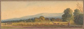 Black Down Hills
