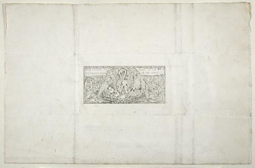 Design for Texile