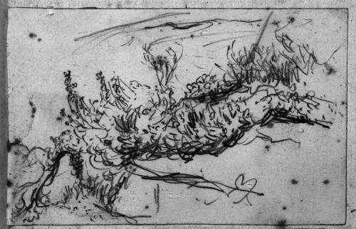 Scrapbook [p. 75]