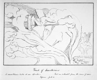 Album [p. 13]