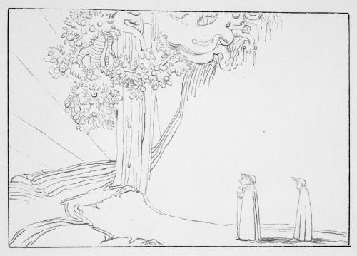 Album [p. 66]