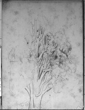 Sketchbook [p. 36]
