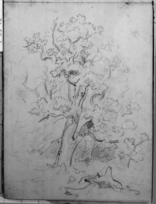 Sketchbook [p. 39]