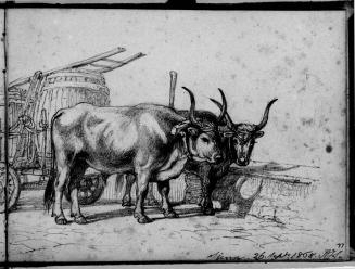 Sketchbook [p. 77]